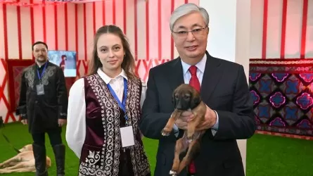 Токаеву подарили щенка по кличке Наурыз