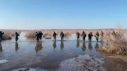 Түркістан облысында аңға шығып, жоғалып кеткен ер адам іздестірілуде