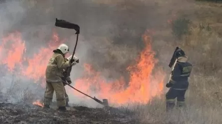 Пожар случился на горных склонах в Алматы