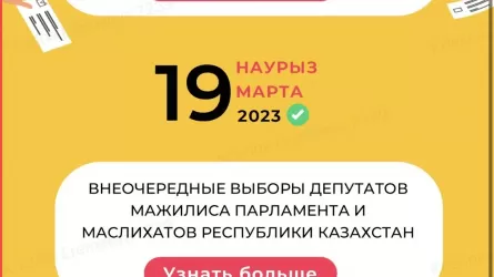 TikTok будет проверять на достоверность контент о парламентских выборах в Казахстане