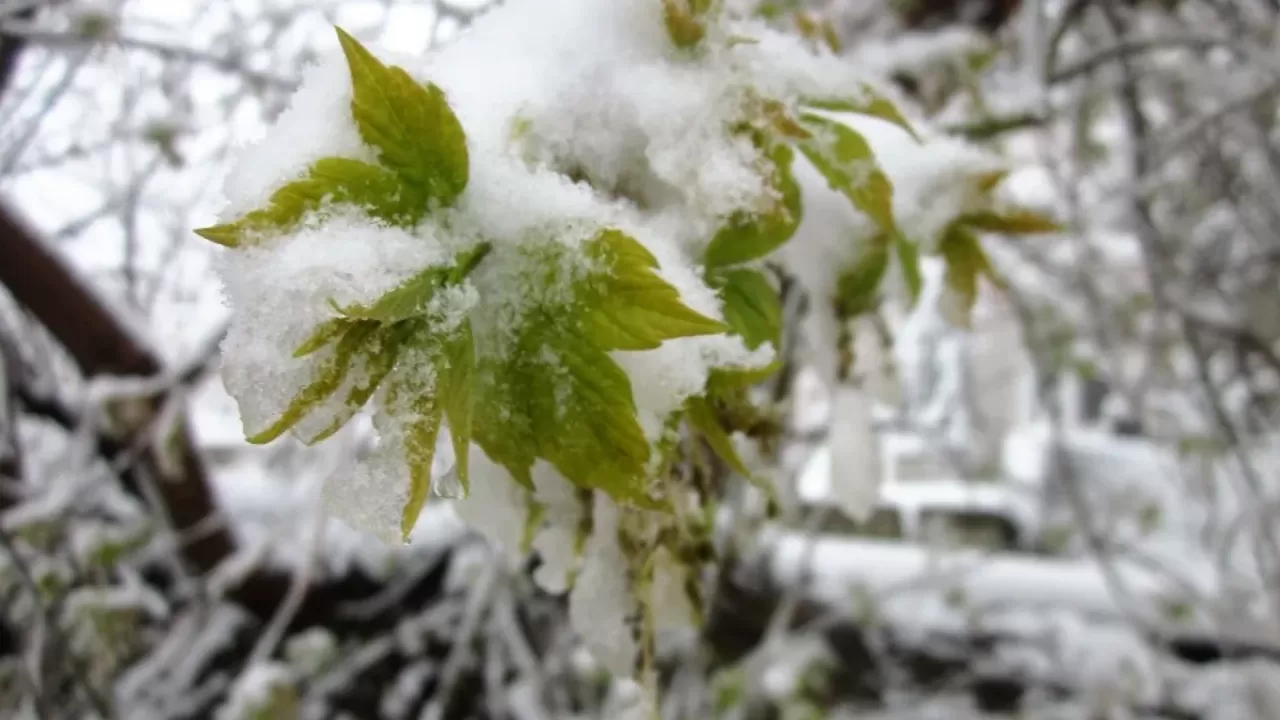 Похолодание и снегопады с метелью ожидаются в Казахстане