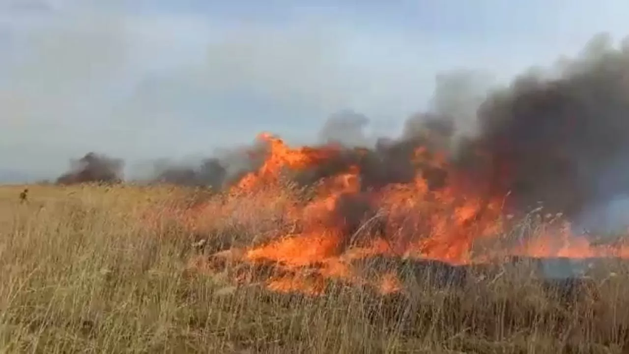 Зайсанда дала өрті өшірілді