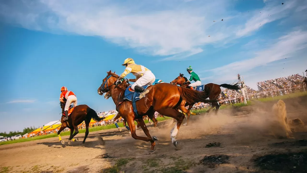 В Кызылорде пройдут конные скачки с общим фондом 35,6 млн тенге