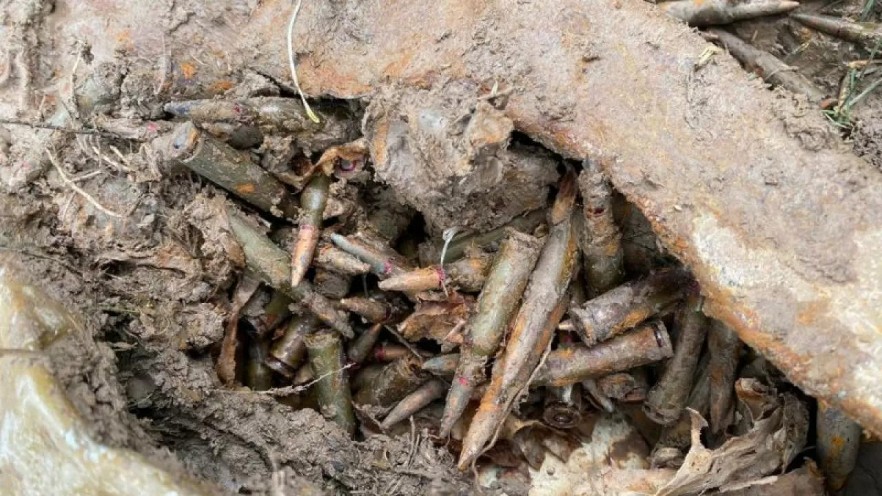 Схрон с боеприпасами обнаружили в Жетысуской области