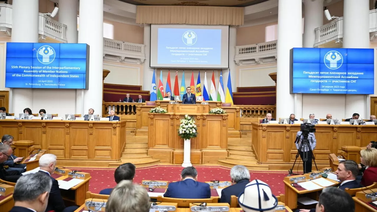 Мәулен Әшімбаев: "ТМД елдеріндегі жоғары оқу орындарында қазақ тілін оқытуды қолдаймыз"