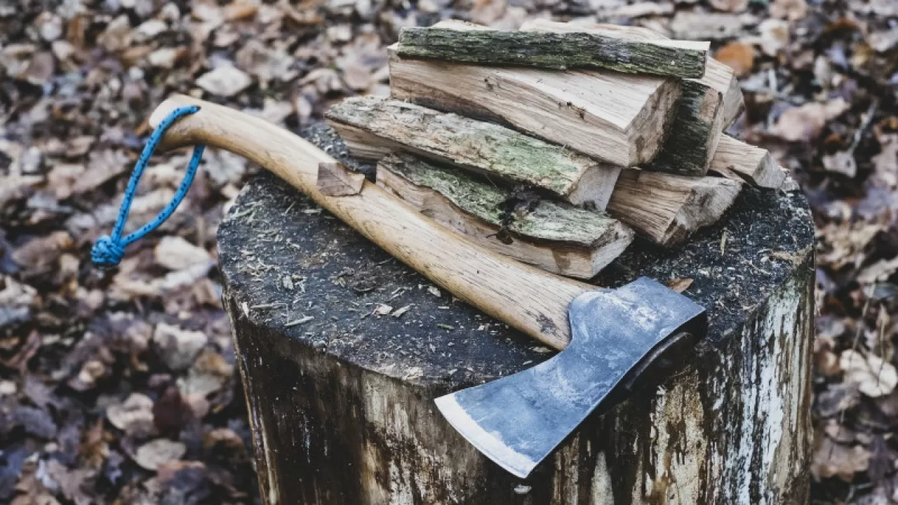Салғырттық салдарынан 227 түп ағаш жойылуы мүмкін