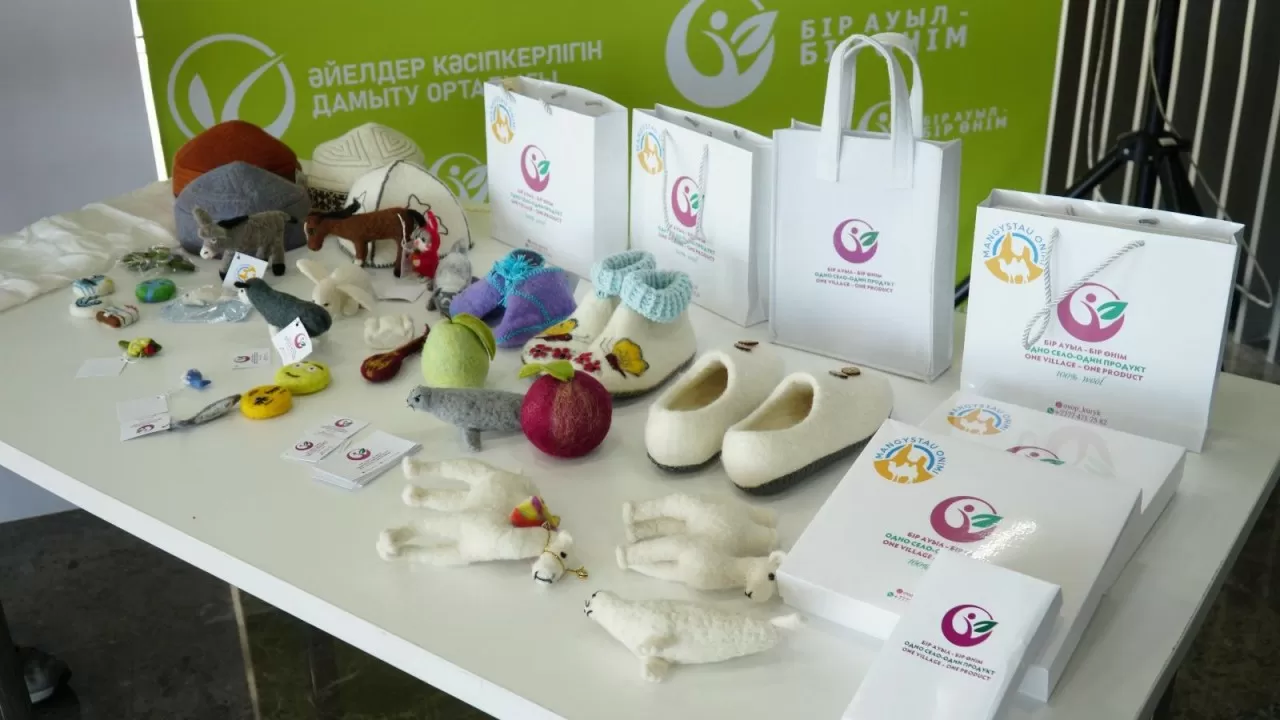 Елімізде микро және шағын бизнесті қолдаудың жаңа шаралары іске қосылды