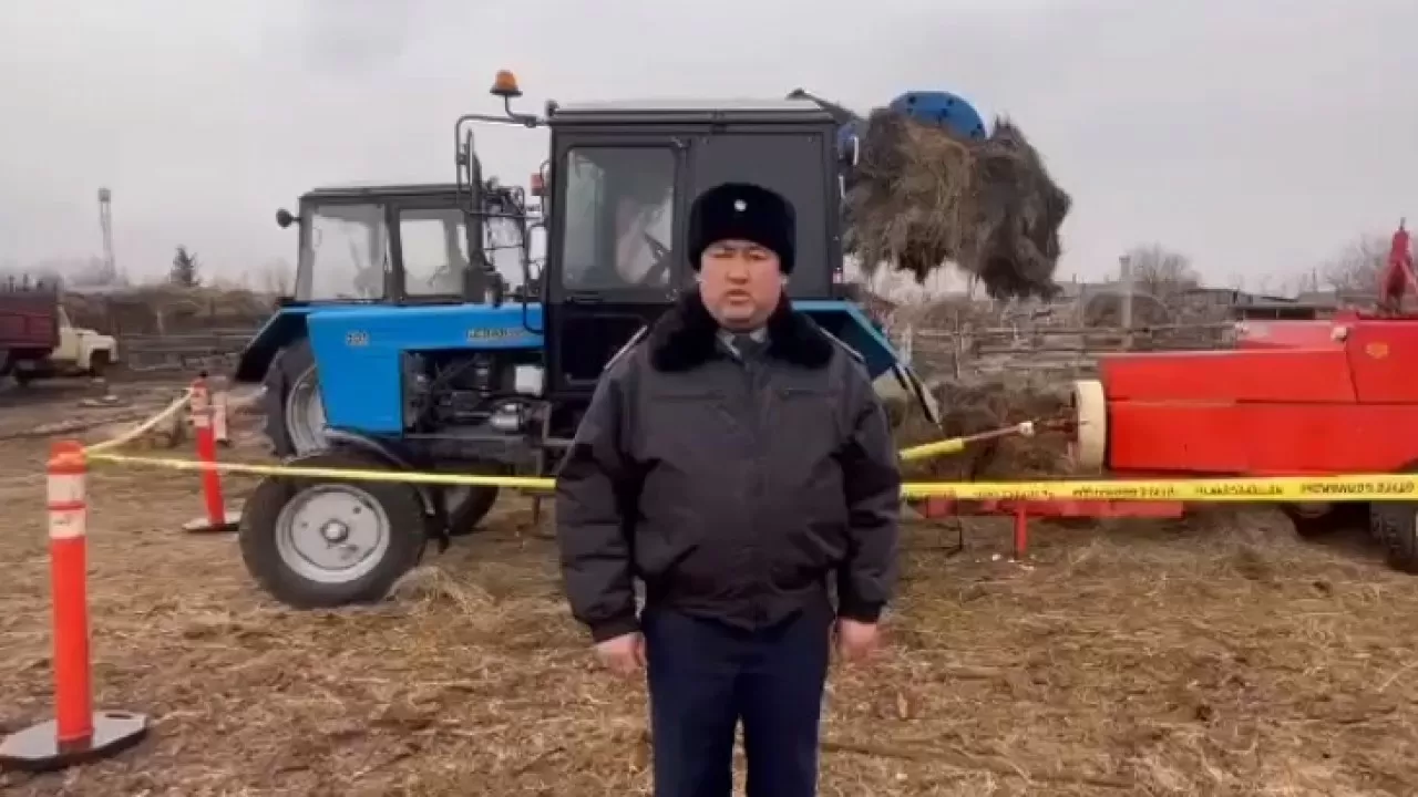 Шөп жинауға шыққан жасөспірім қайтыс болды
