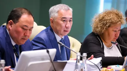 Казахстанские поставщики смогут беспрепятственно участвовать в закупках промтоваров стран ЕАЭС