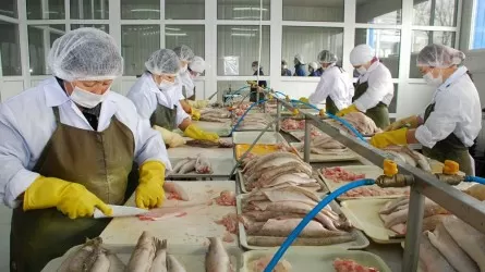 В МНЭ предложили смягчить формулировку о валютных ограничениях для бизнеса