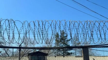 Павлодарда колонияға телефон кіргізбек болған әйел ұсталды