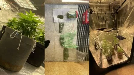 Маңғыстауда есірткі зертханалары анықталды