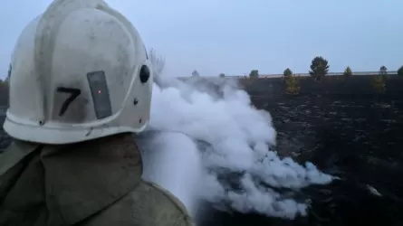 Около семи часов павлодарцы тушили сильный пожар на границе с Россией  