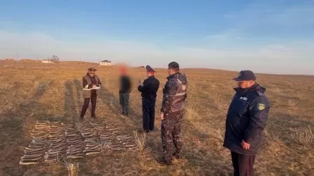 137 рогов сайги нашли у жителя Атырауской области