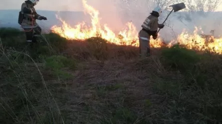 Шығыс Қазақстанда шөптің өртенуі тіркелді