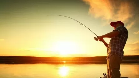 В РК вводят временный запрет на ловлю рыбы