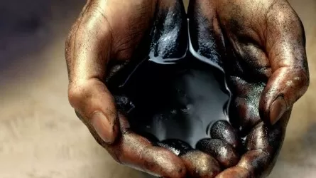 39,8 тыс. тонн казахстанской нефти отправлено в Германию