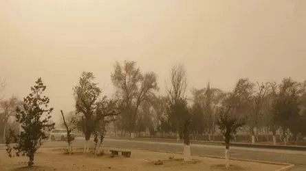 Пыльная буря обрушилась на Жанаозен