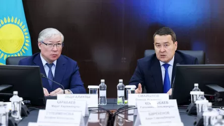 Как в Улытауской области будут решать экономические проблемы?