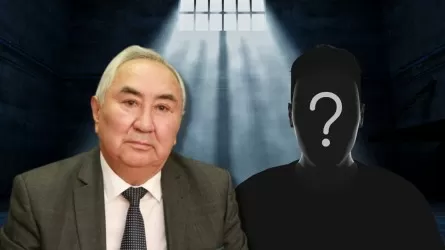 Мәжіліс депутаты Жигули Дайрабаевтың ұлдары сотталды