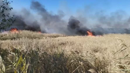 Стала известна причина появления запаха гари в Актау