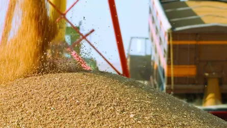 Казахстан возобновляет экспорт пшеницы в Китай зерновозами