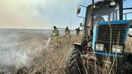 Атырау облысында қамыс өрті сөндірілді