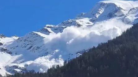 Француз Альпісінде қар көшкіні салдарынан 4 адам қайтыс болды
