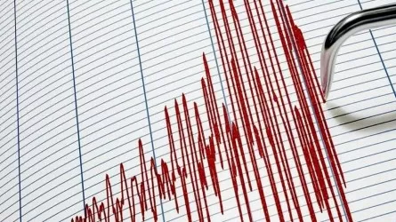 Казахстанские сейсмологи зарегистрировали землетрясение в Афганистане 
