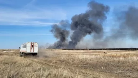 Ликвидирован пожар в районе аэропорта Астаны