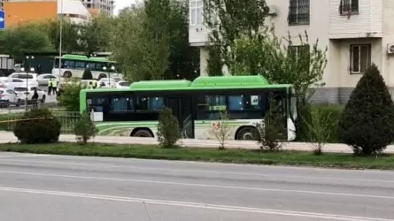 Шымкентские врачи рассказали, о состоянии сбитой автобусом девочки