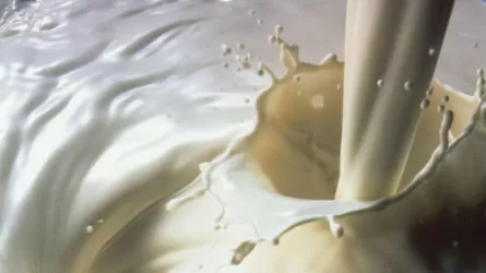 Производители опасаются: в страну может хлынуть молочное сырье из России