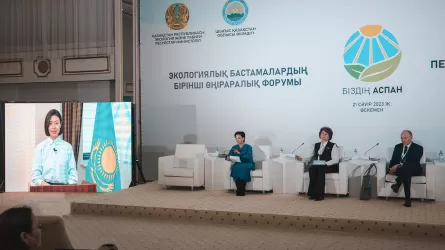 Проблемы качества воздуха обсуждали на форуме "Наше небо" 