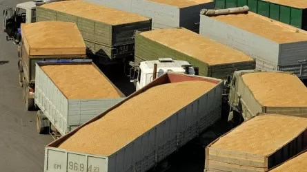 ОПГ из Костаная отправляла в Узбекистан российское зерно под видом казахстанского