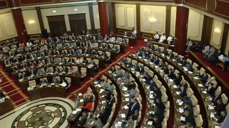 Мажилисмены пожаловались на шымкентских налоговиков