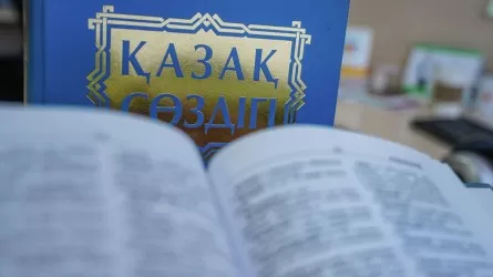 Спецзакон о государственном языке могут разработать в Казахстане
