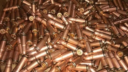 Павлодар тұрғыны өзен жағасынан 6 мыңнан астам патрон тапқан