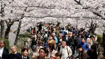 В Японии стремительно сокращается население