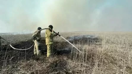 Потушен последний очаг крупного камышового пожара на Каспии