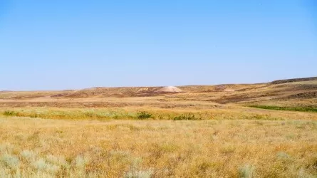 Заблудившегося в степи жителя Актюбинской области искали три дня