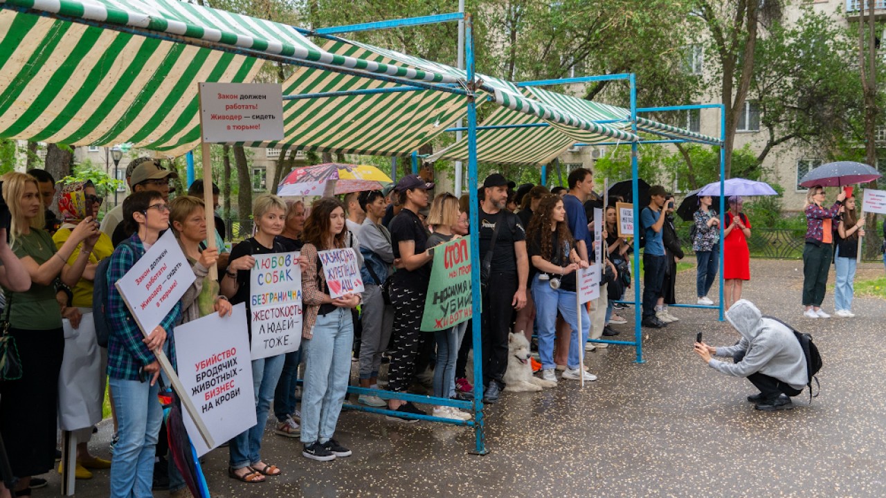 Митинг в защиту животных: в Алматы прошел санкционированный протест