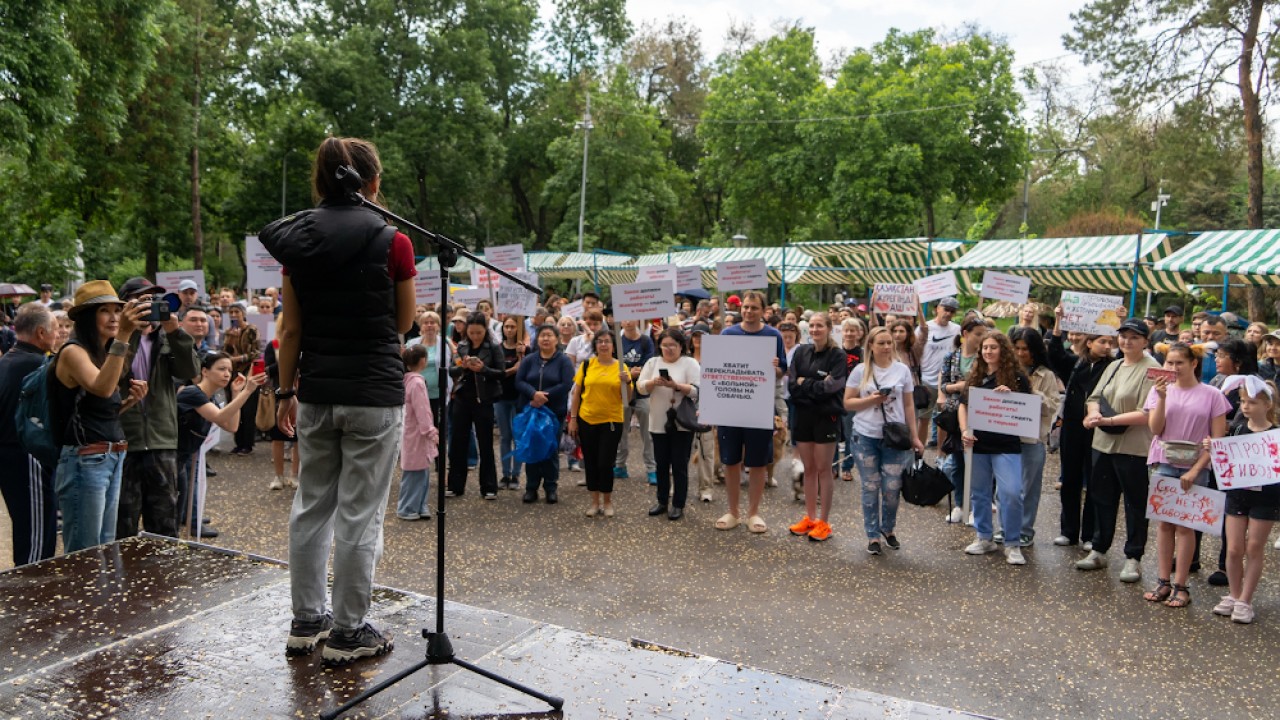 Митинг в защиту животных: в Алматы прошел санкционированный протест