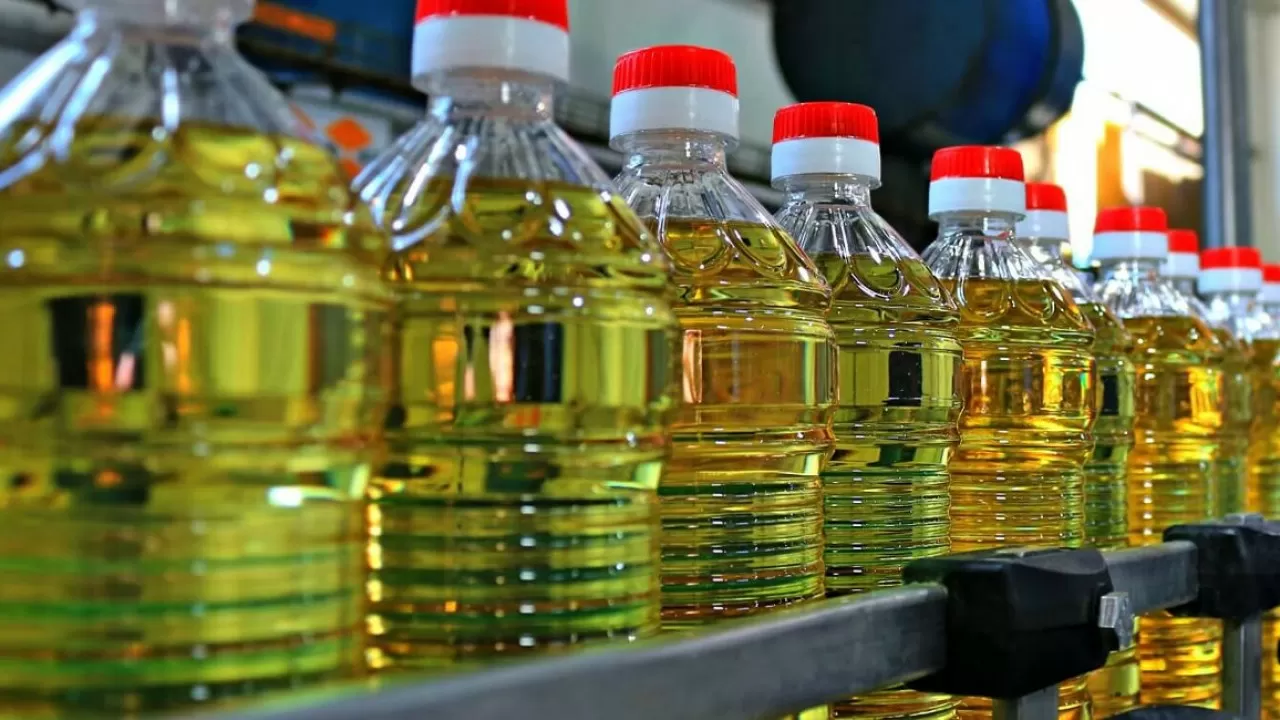 В этом году в Павлодарской области планируют начать строить маслоэкстракционный завод