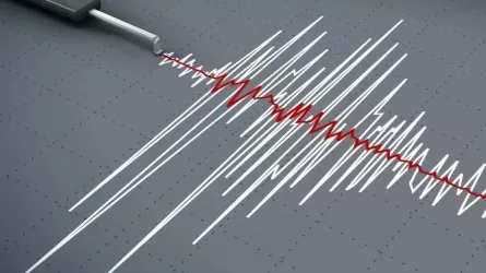 Землетрясение магнитудой 5,6 зарегистрировали сейсмологи Казахстана