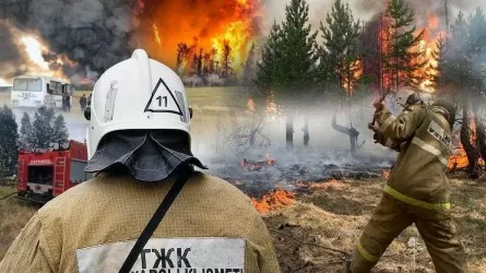 Табиғи өрттерді ерте анықтау жүйелерін белсенді енгізу қажет – Үкімет басшысы