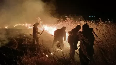 Ресейде жаулаған алапат өрт Қазақстанға ауысуы мүмкін