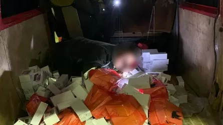 Қазақ-қырғыз шекарасында заңсыз смартфондарды өткізбек болған азамат ұсталды