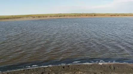 Арендаторы павлодарских озер вместо разведения рыбы занимаются преодолением препятствий 