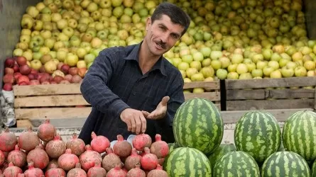 Ранние овощи и фрукты из Таджикистана могут появиться на павлодарских прилавках