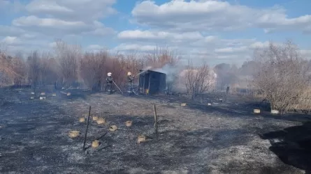 106 дачных участков сгорели в садоводстве Павлодара